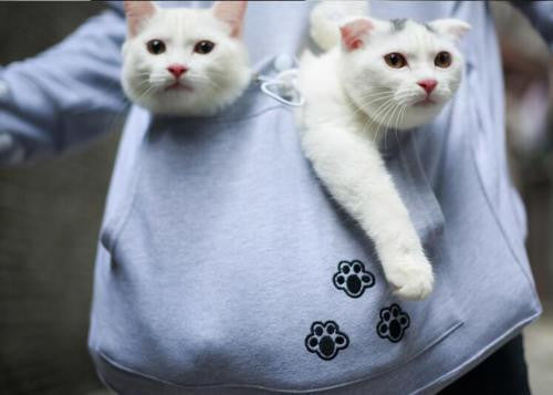 Hoodies With Cuddle Pouch
