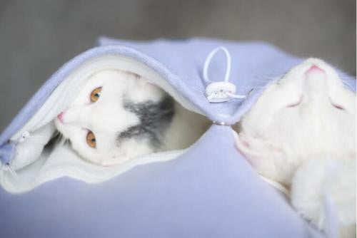 Hoodies With Cuddle Pouch